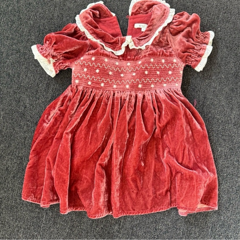 Velvet Noralee  Dress with Lace Trim